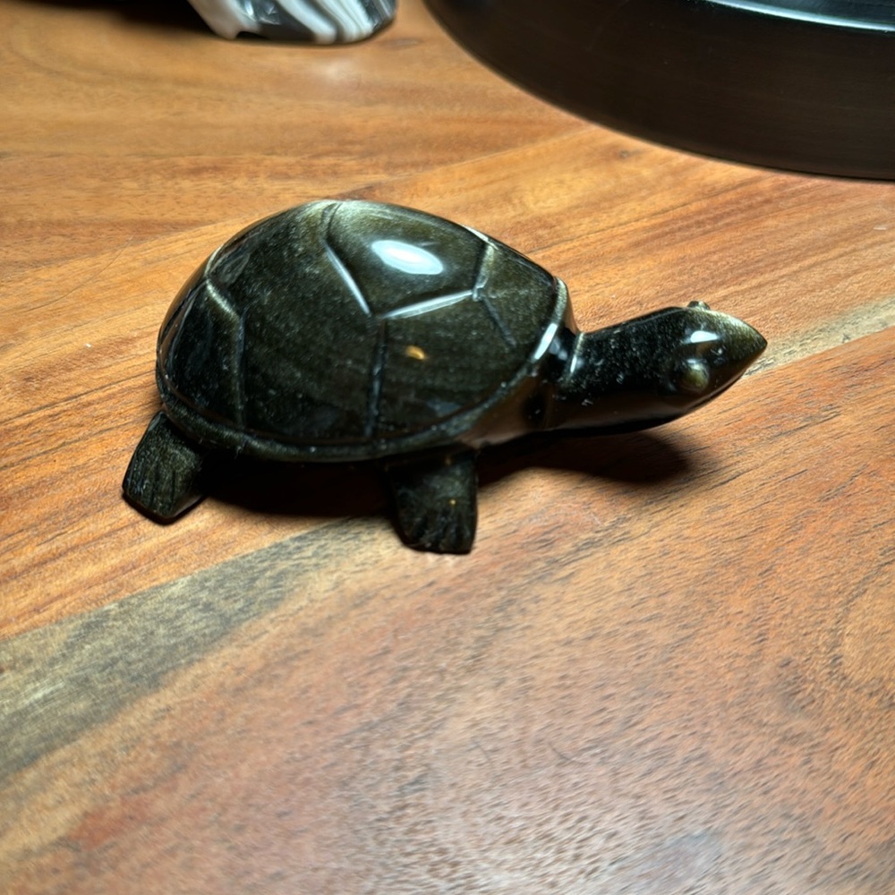 Flashy Obsidian Turtle - 2